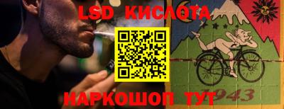 прущие грибы Сланцы