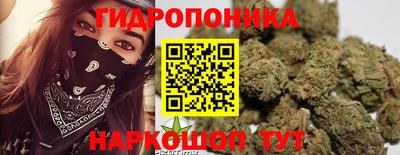 стафф Славянск-на-Кубани