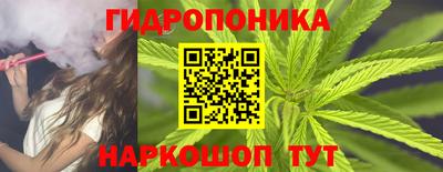 прущие грибы Сланцы
