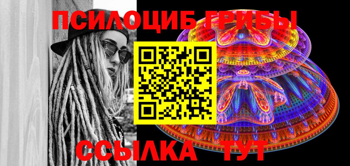 Псилоцибиновые грибы GOLDEN TEACHER Новочебоксарск