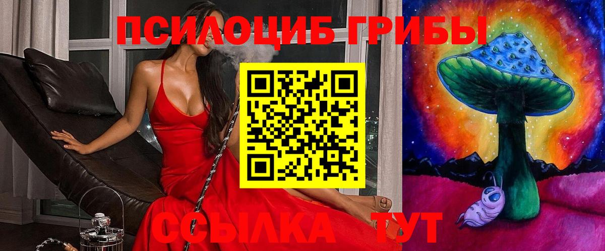 Псилоцибиновые грибы Новочебоксарск